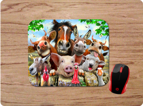 Funny farm animals selfie - funny,